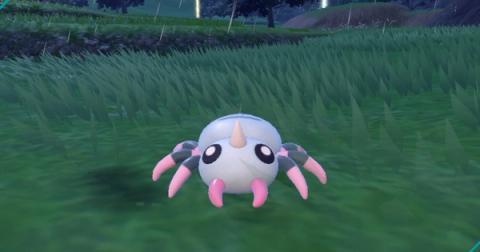 Spinarak Shiny Hunting Guide (Teal Mask DLC)