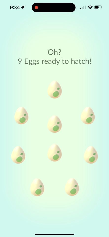 Nine 2 km eggs ready to hatch in Pokémon GO.