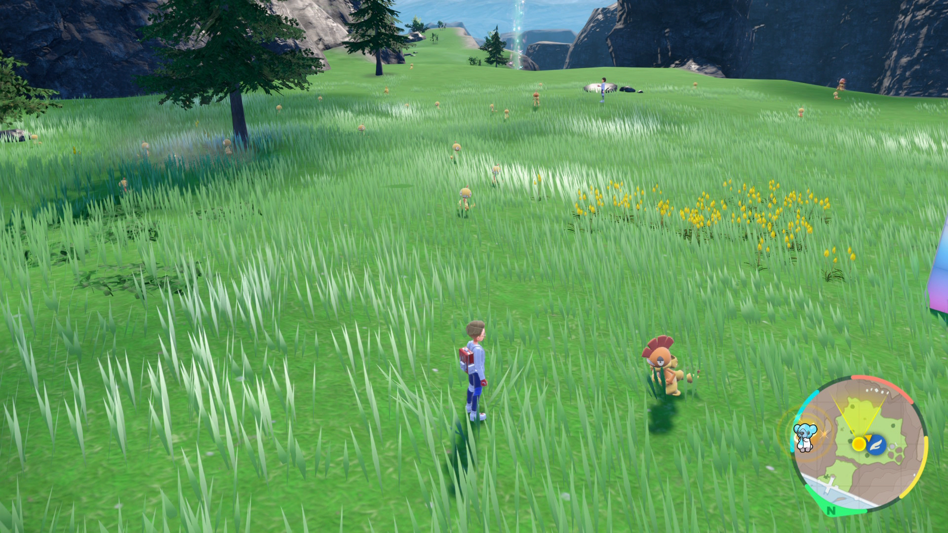Scraggy Spawns