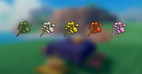 Herba Mystica Farming Guide