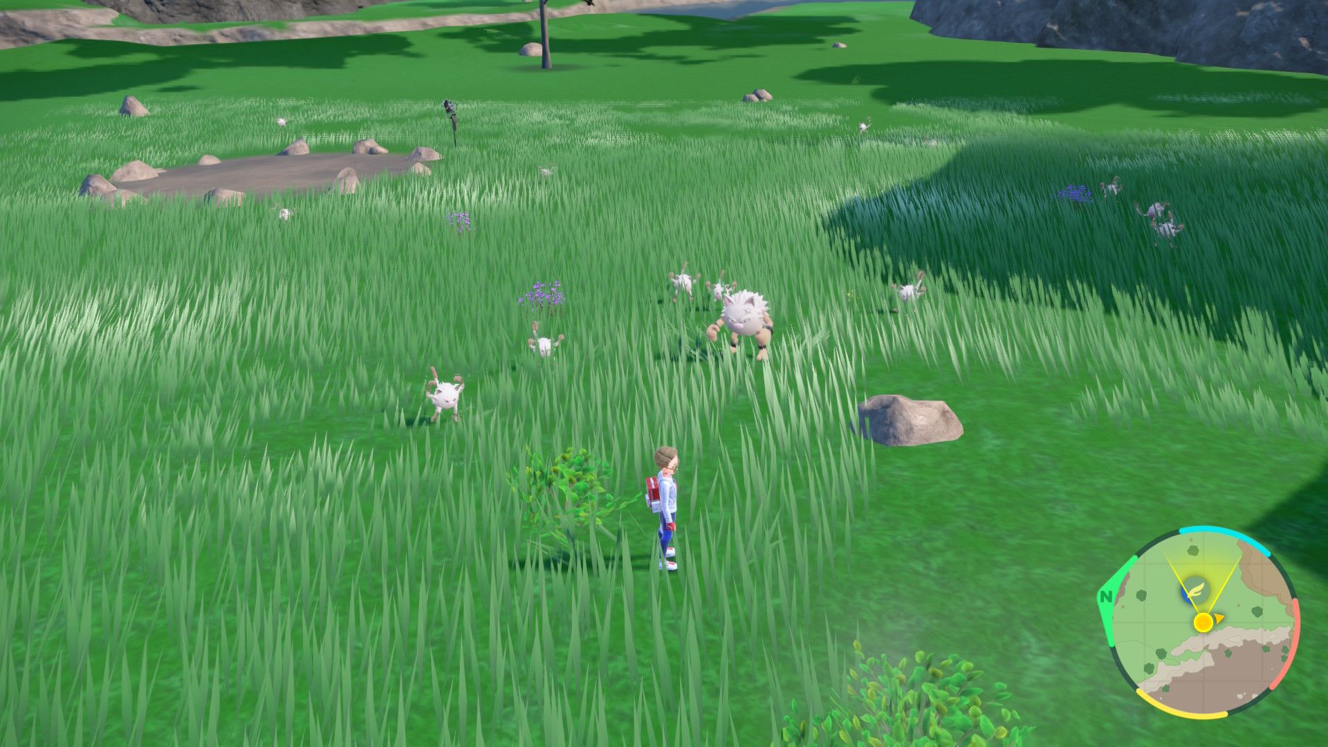 Mankey Spawns