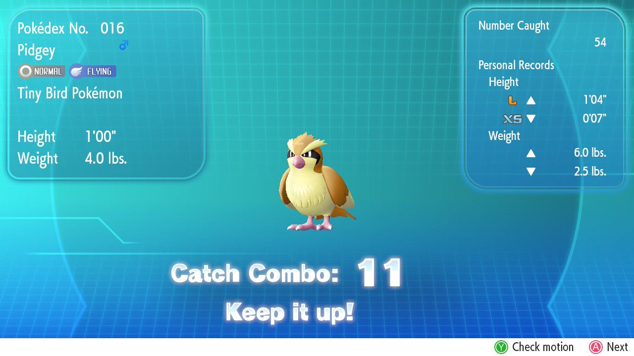Catch Combo of 11 Pidgey