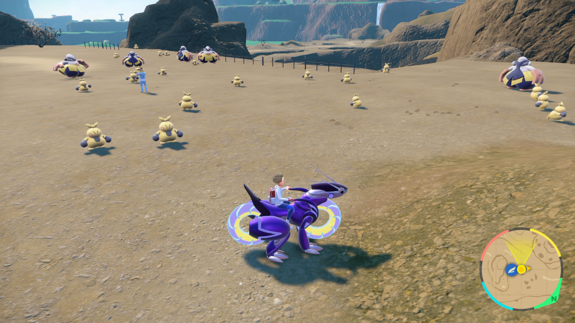 Makuhita Spawns
