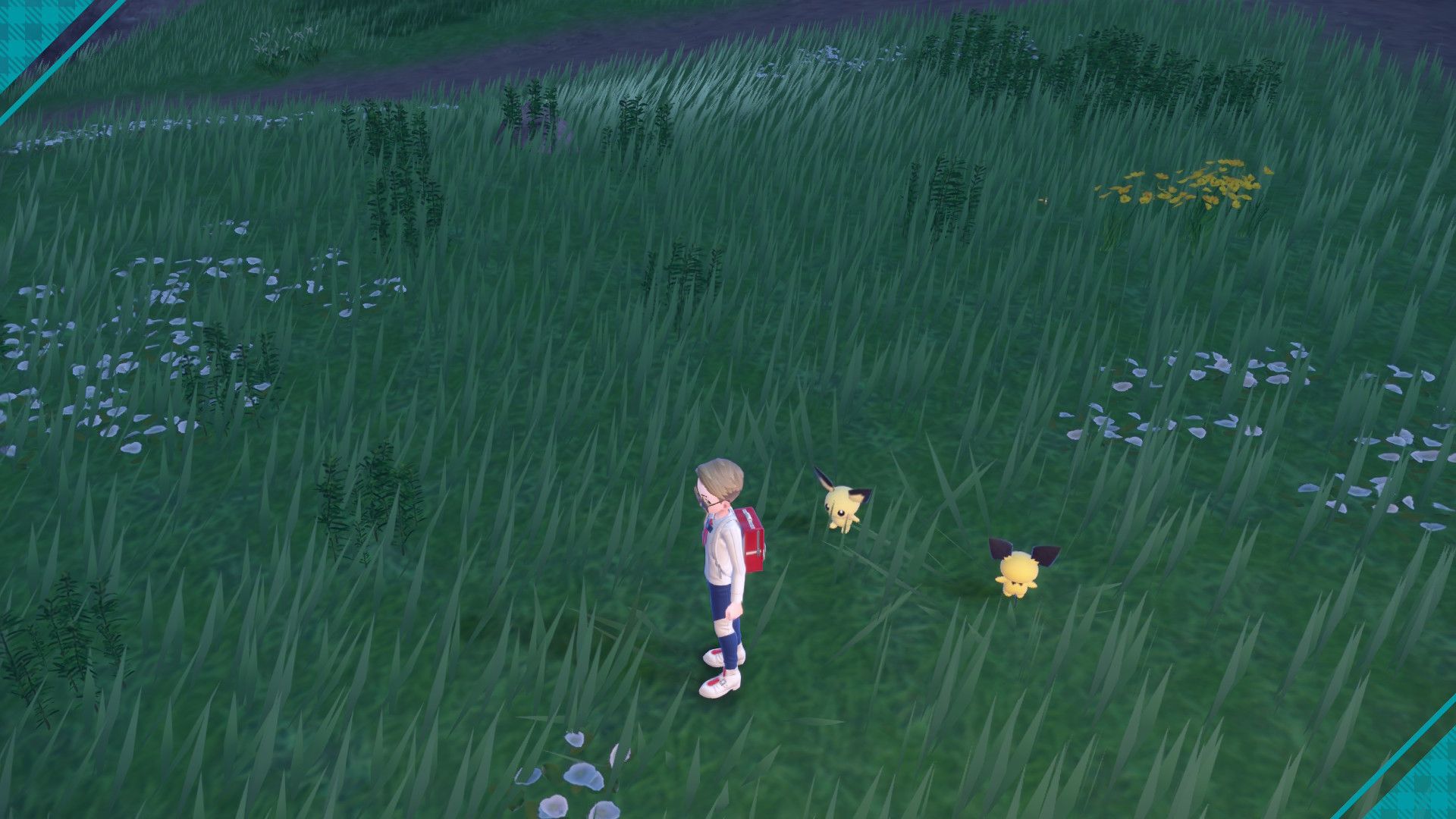 Comparison of normal Pichu and shiny Pichu