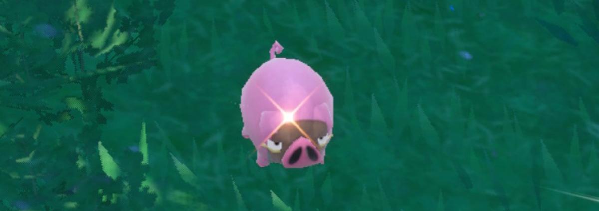 A shiny hunting guide for Lechonk in Pokémon Scarlet and Violet.