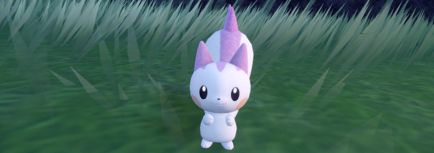 A guide to shiny hunting Pachirisu in the Pokémon Scarlet & Violet Teal Mask DLC, including the best location and sandwich recipes.