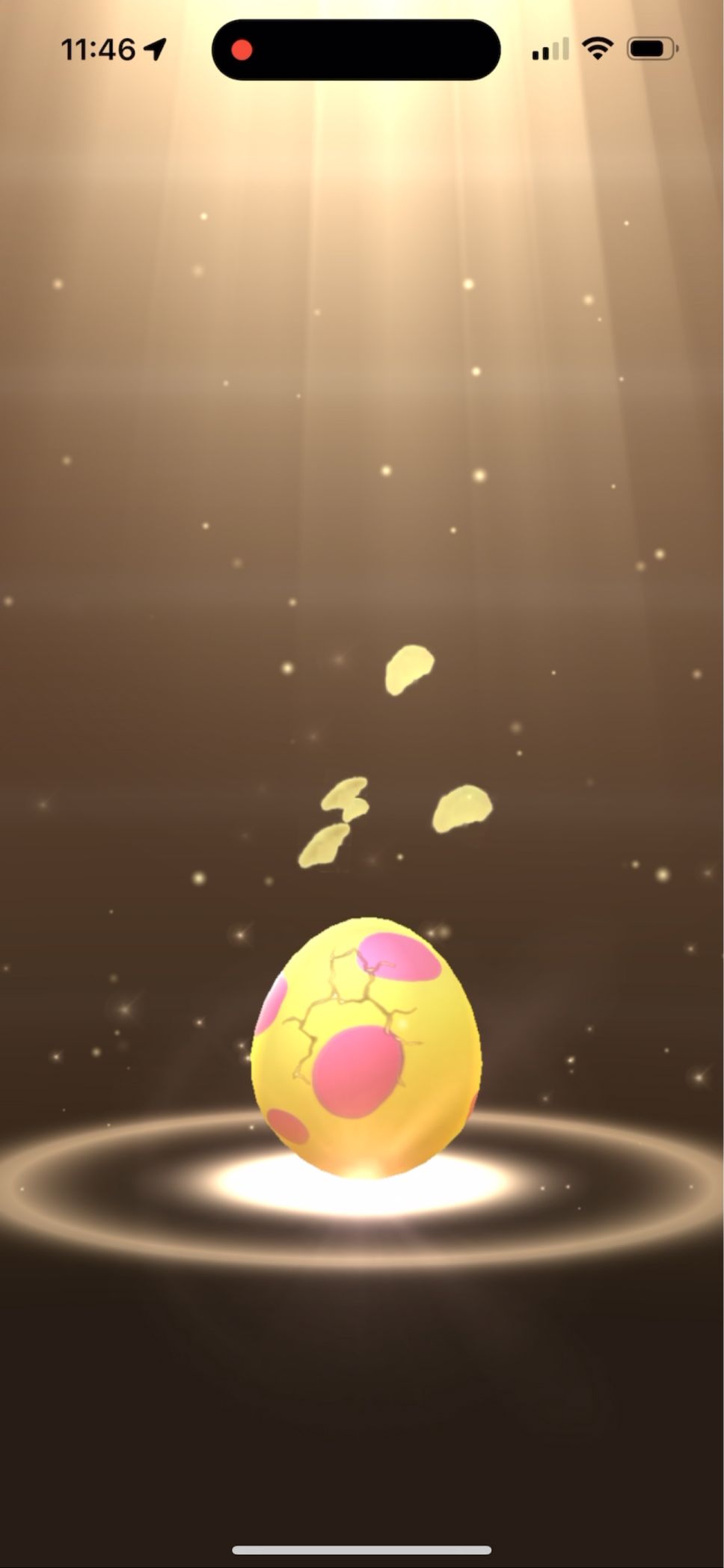 A 7 km egg hatching in Pokémon GO