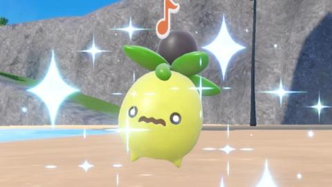 Smoliv Shiny Hunting Guide (Pokémon Scarlet & Violet)