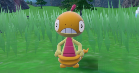 Scraggy Shiny Hunting Guide (Indigo Disk DLC)