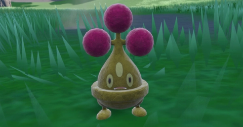 Bonsly Shiny Hunting Guide (Teal Mask DLC)