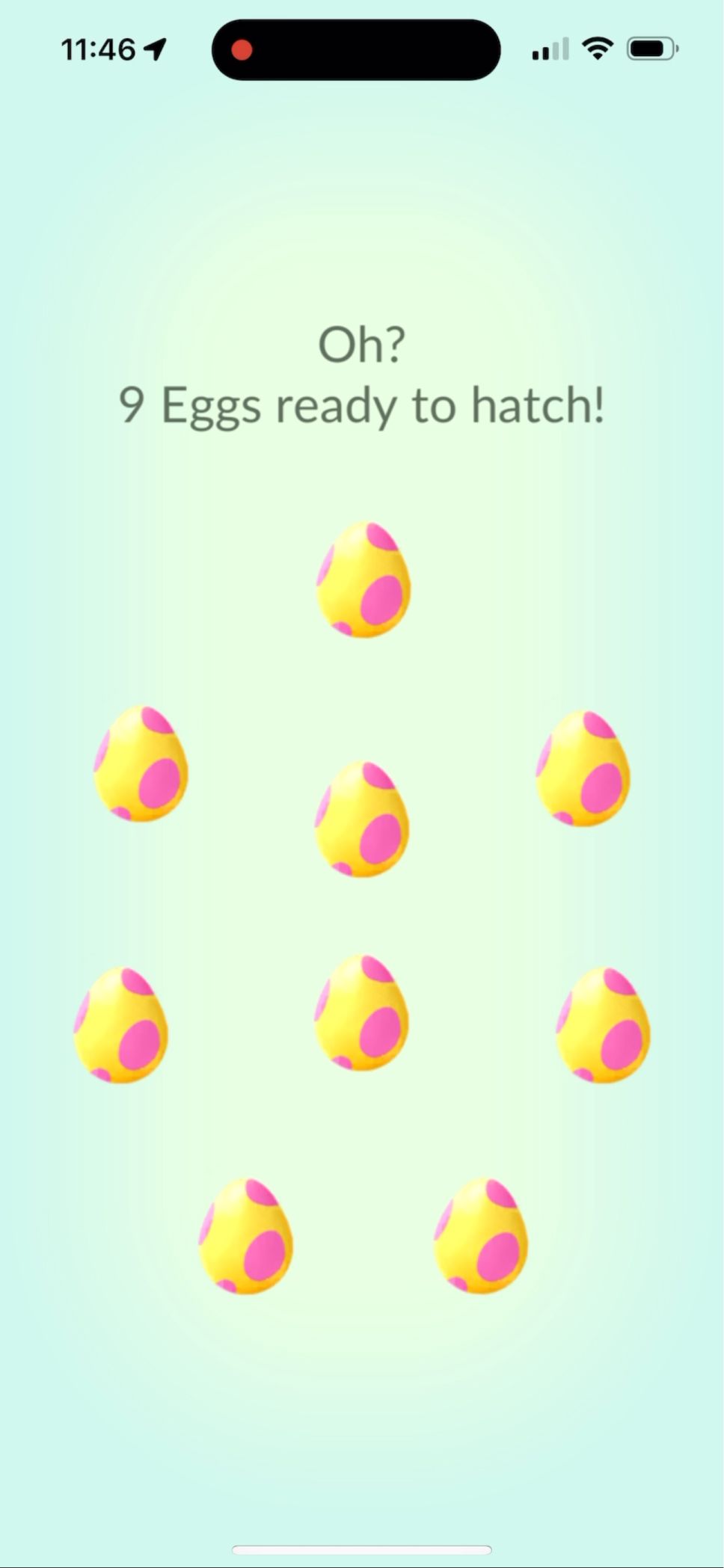 Nine 7 km eggs ready to hatch in Pokémon GO.