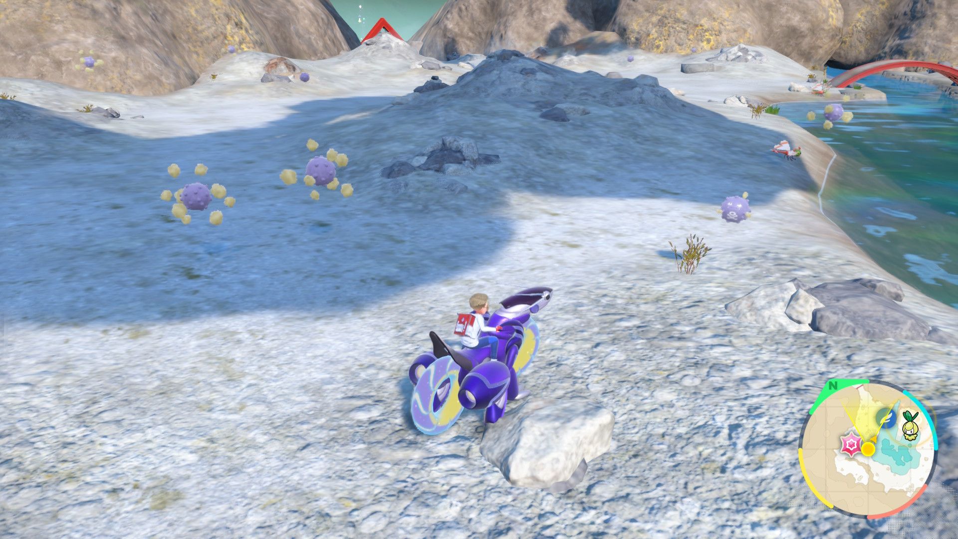 Koffing Spawns