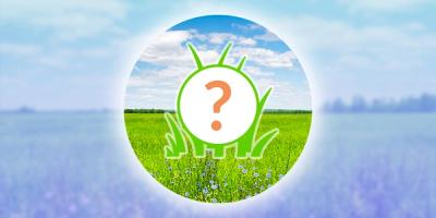 Mareep Spotlight Hour