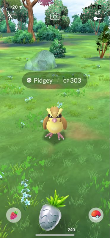 Silver Pinap Berry in Pokémon Go