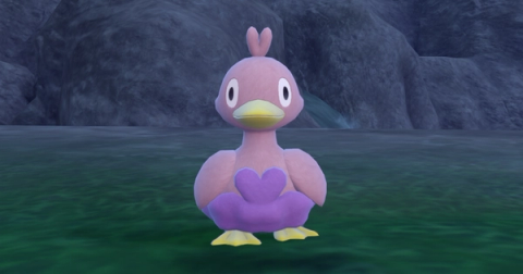 Ducklett Shiny Hunting Guide (Teal Mask DLC)