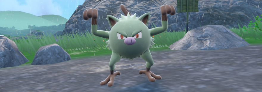 The ultimate Mankey shiny hunting guide in the Pokémon Scarlet & Violet Teal Mask DLC, including the best location and sandwich recipes.