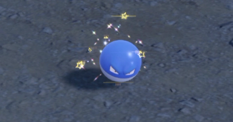 Voltorb Shiny Hunting Guide (Pokémon Scarlet & Violet)