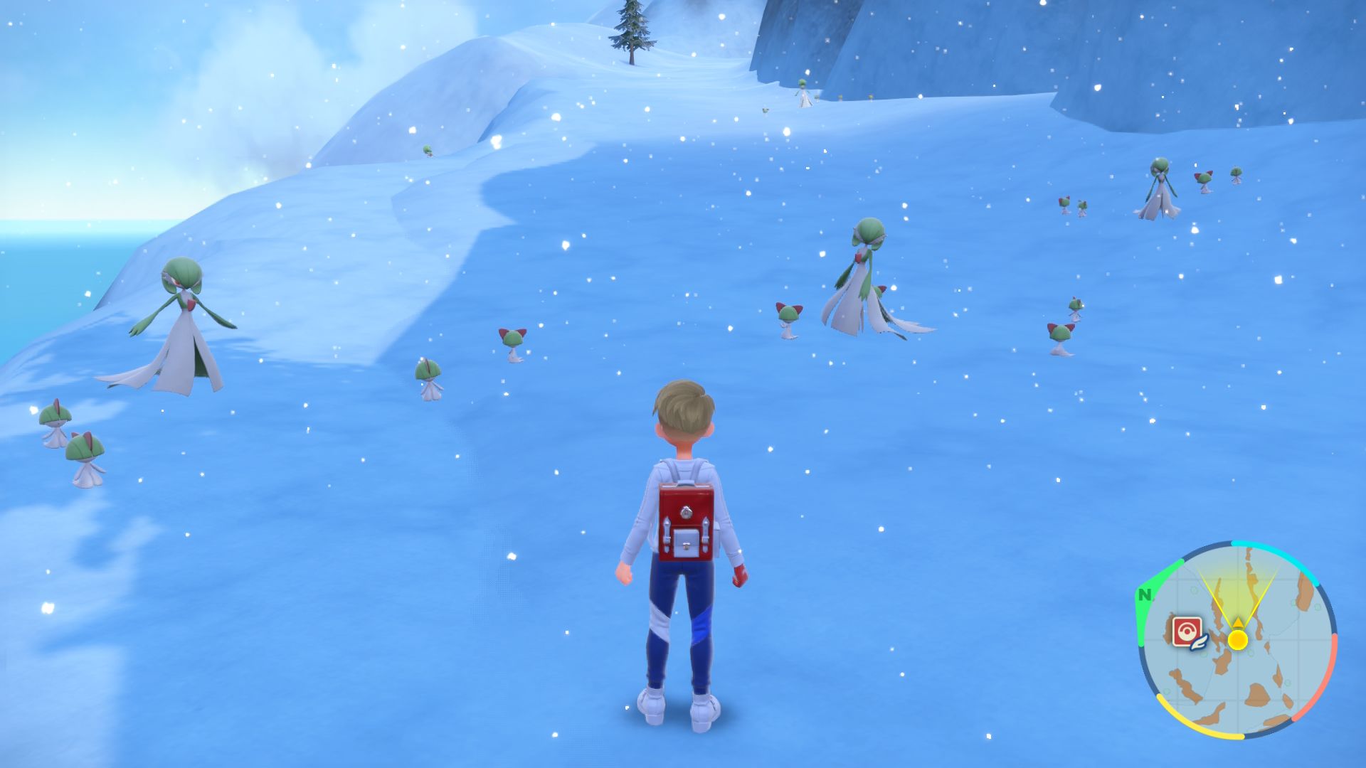 Ralts Spawns
