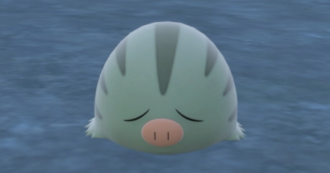Swinub Shiny Hunting Guide (Teal Mask DLC)