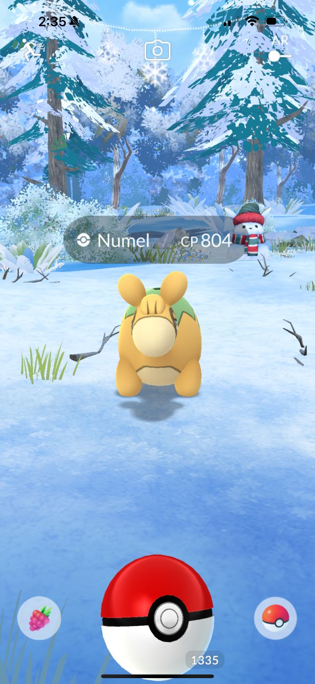 A Poké Ball being used to catch a Numel in Pokémon GO