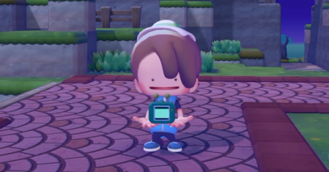 How to use the Dowsing Machine in Pokémon Pokopia!