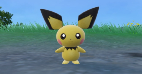 Pichu Shiny Hunting Guide (Teal Mask DLC)