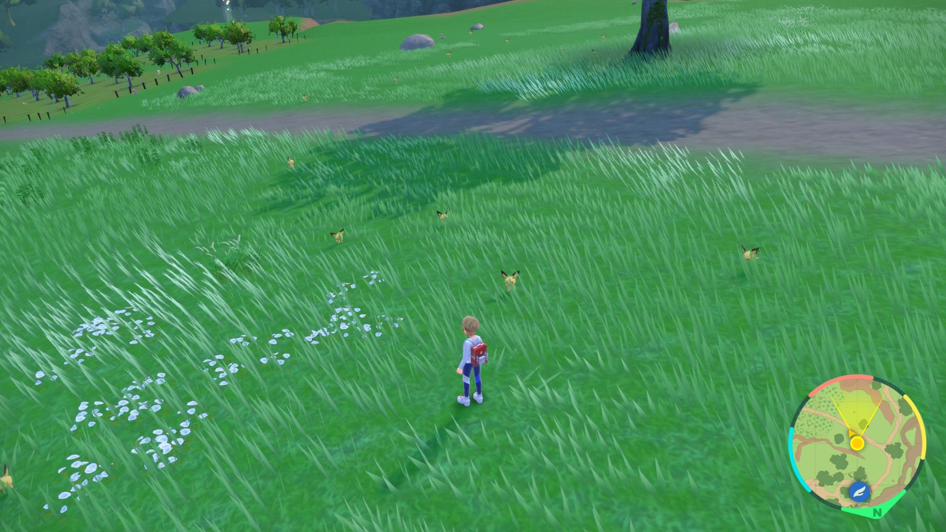 Pichu Spawns