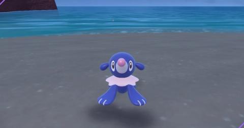Popplio Shiny Hunting Guide (Indigo Disk DLC)