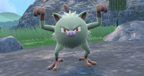 Mankey Shiny Hunting Guide (Teal Mask DLC)