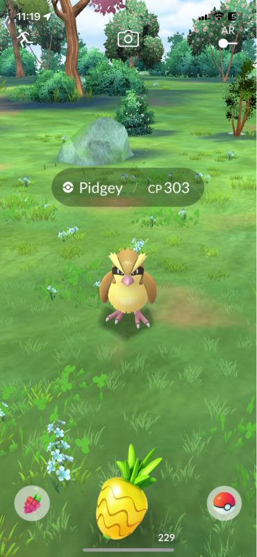 Pinap Berry in Pokémon Go