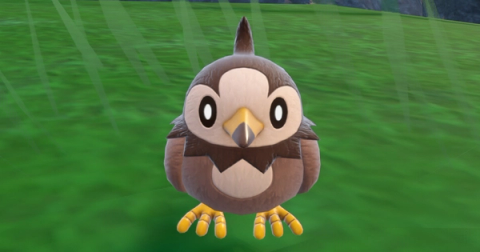 Starly Shiny Hunting Guide (Teal Mask DLC)