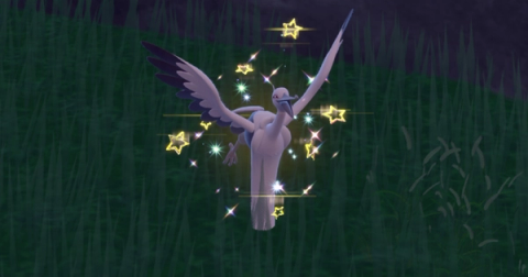 Bombirdier Shiny Hunting Guide (Teal Mask DLC)