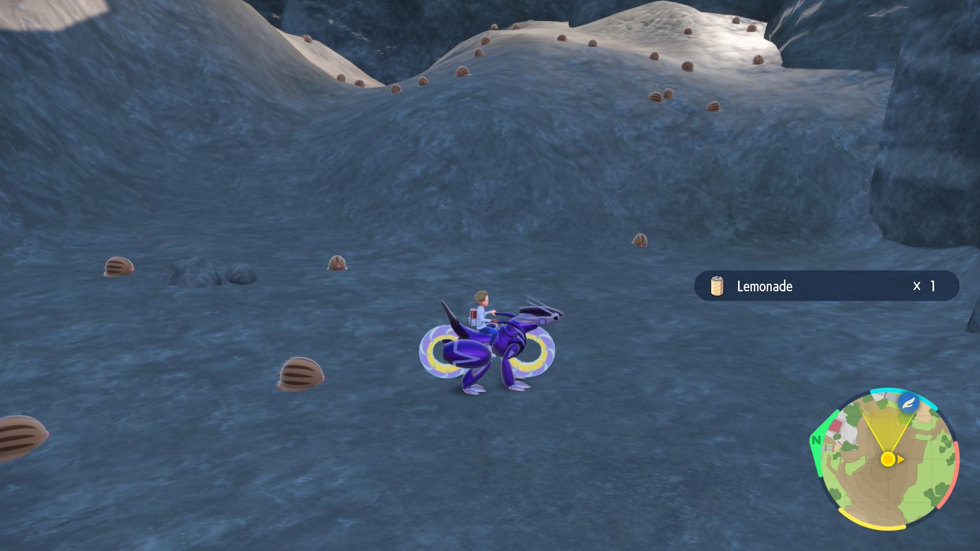 Swinub Spawns