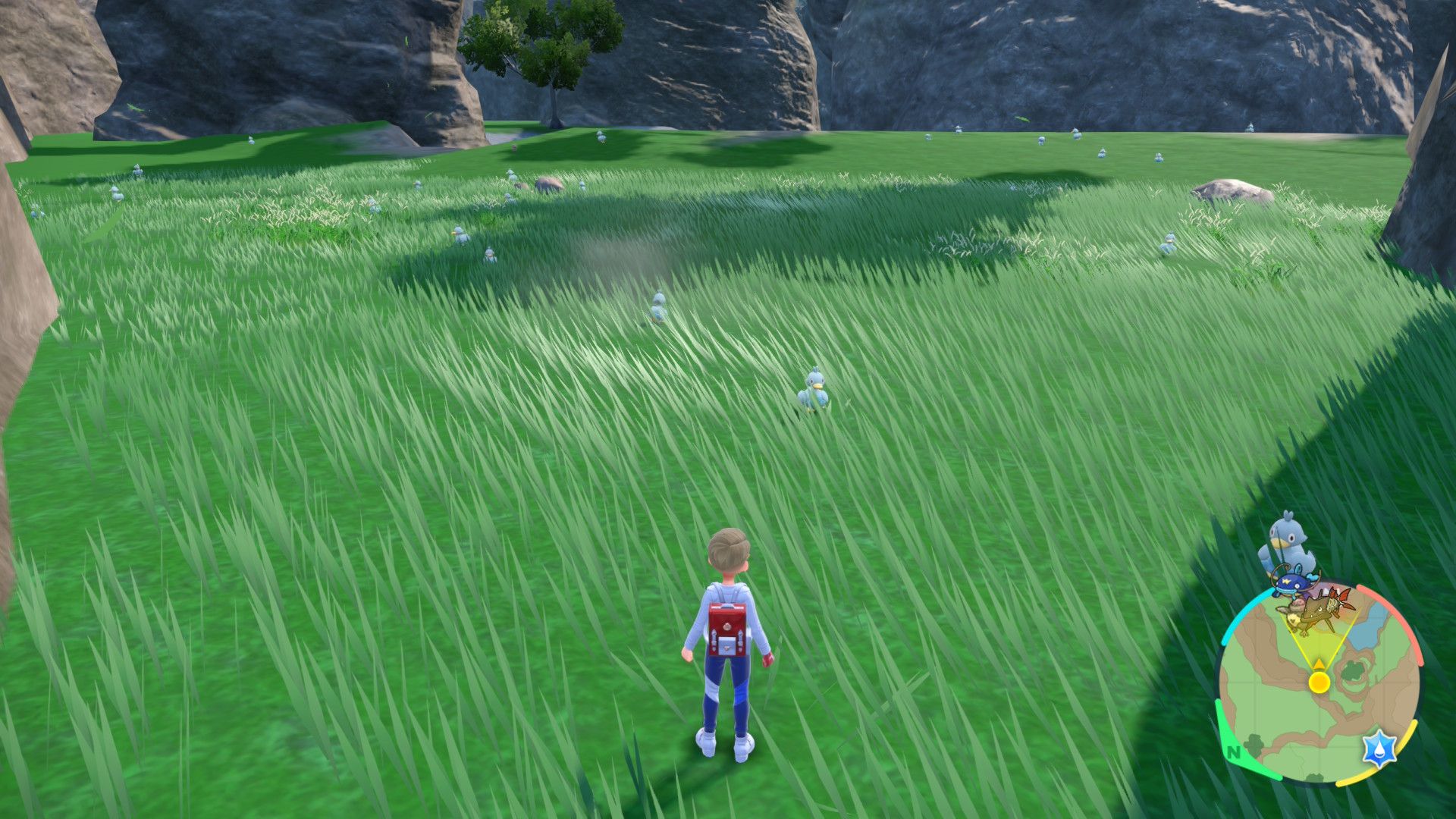 Ducklett Spawns