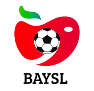 Baysl logo