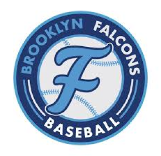 Brooklyn Falcons Baseball logo