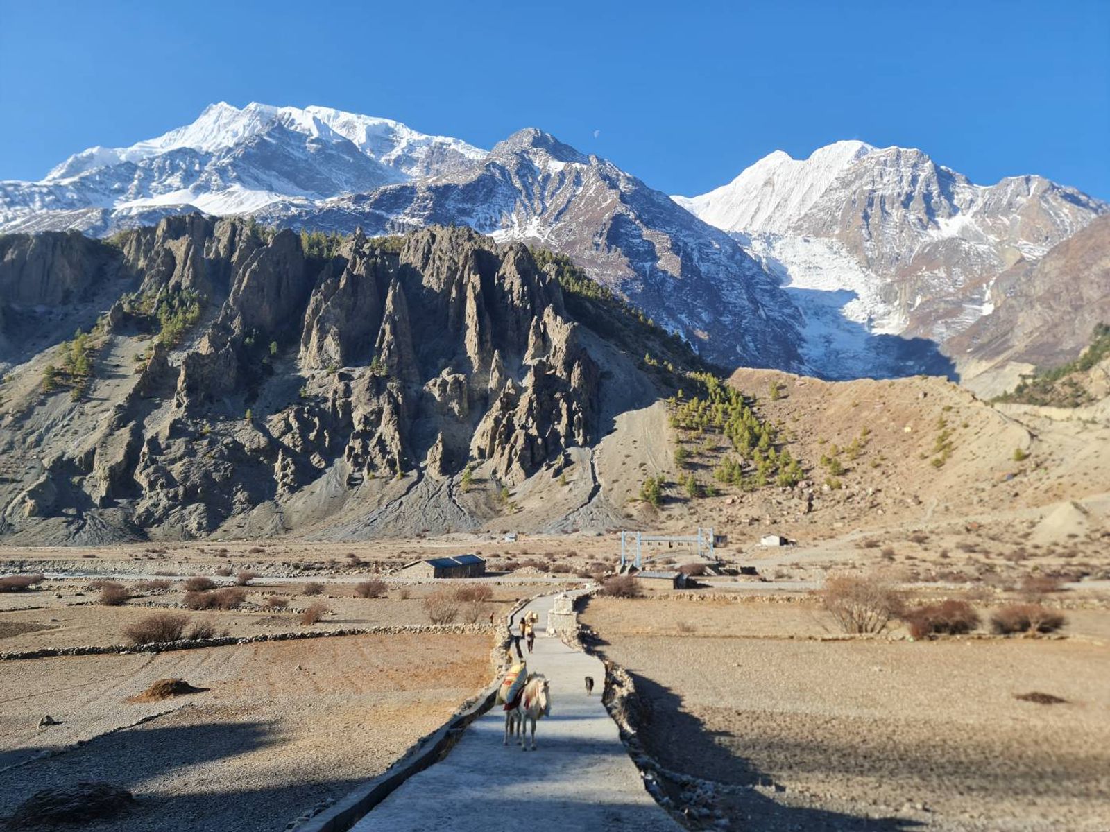 Annapurna Circuit Trek - 16 Days - Photo 26