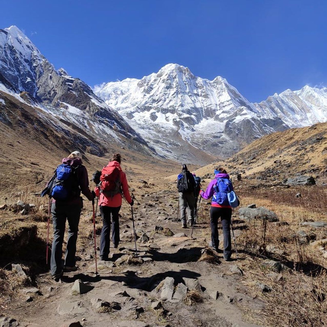 Annapurna Base Camp Trek - 13 Days - Photo 18
