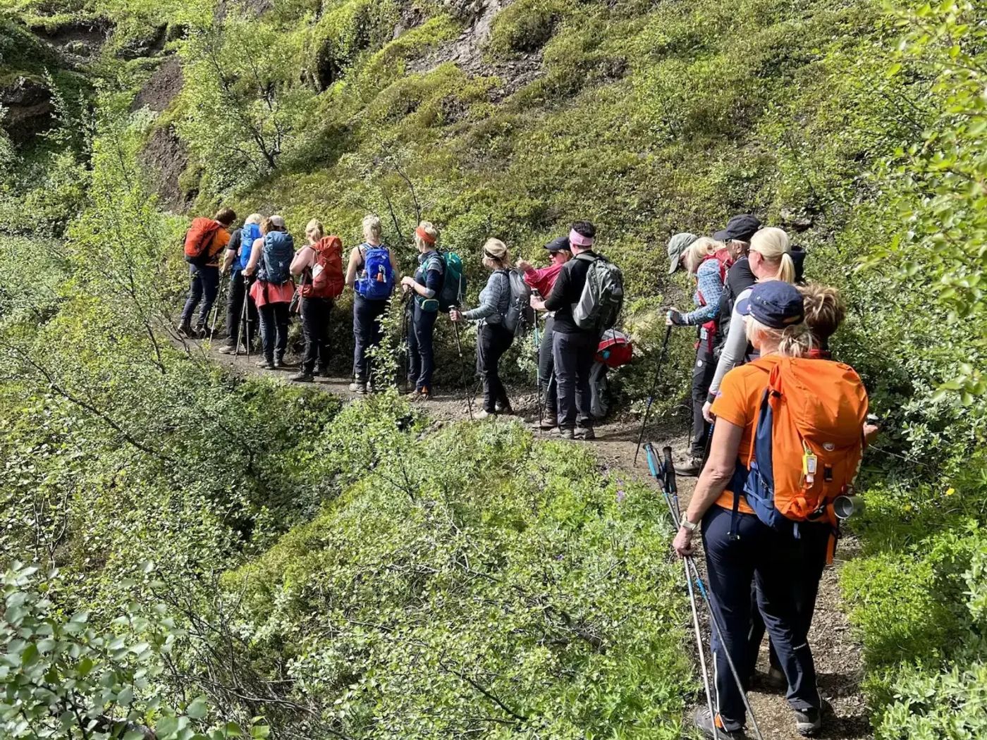 Thorsmork - hiking group mountainside trail