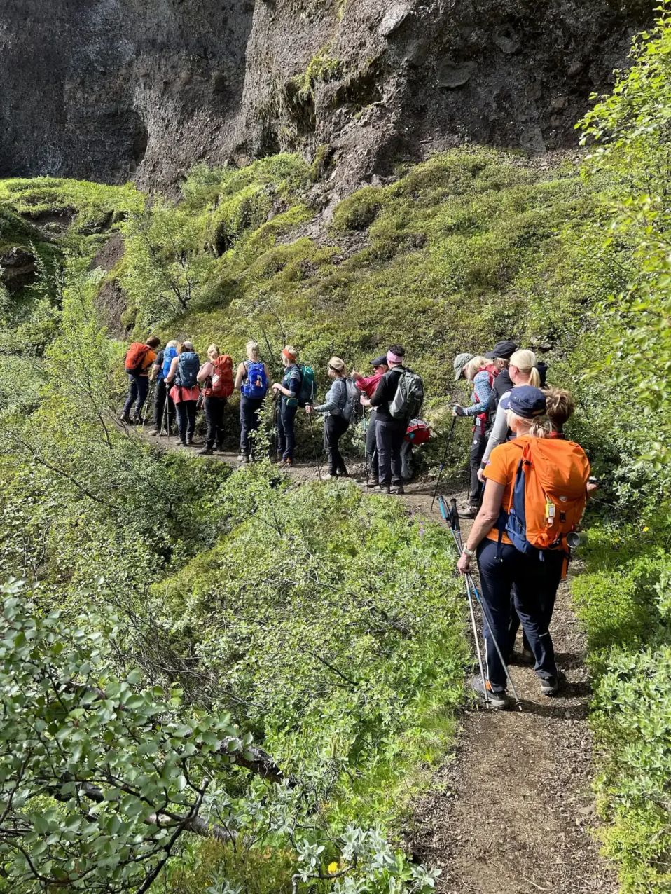 Thorsmork - hiking group mountainside trail