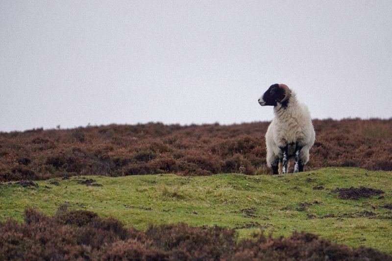 The Hole of Horcum, North Yorkshire