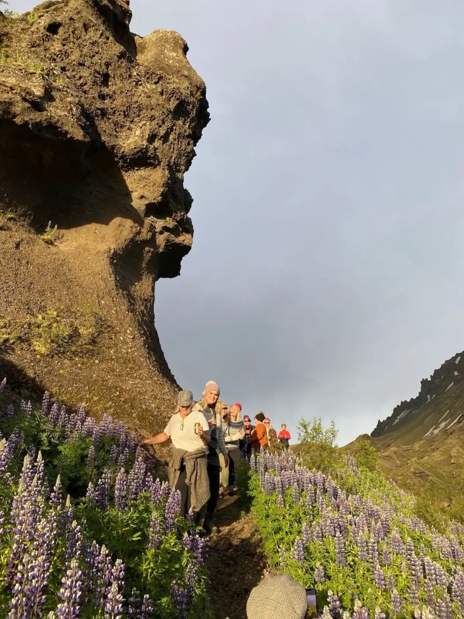 Thorsmork - hiking group with purlpe flowes