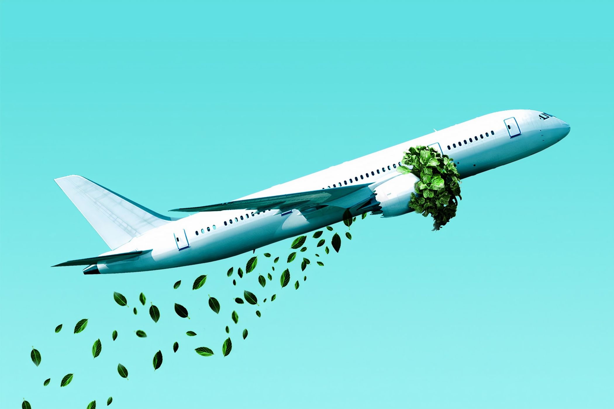 Carbon Offsetting - Salvation or Scam? (Best Carbon Offset Programs UK)