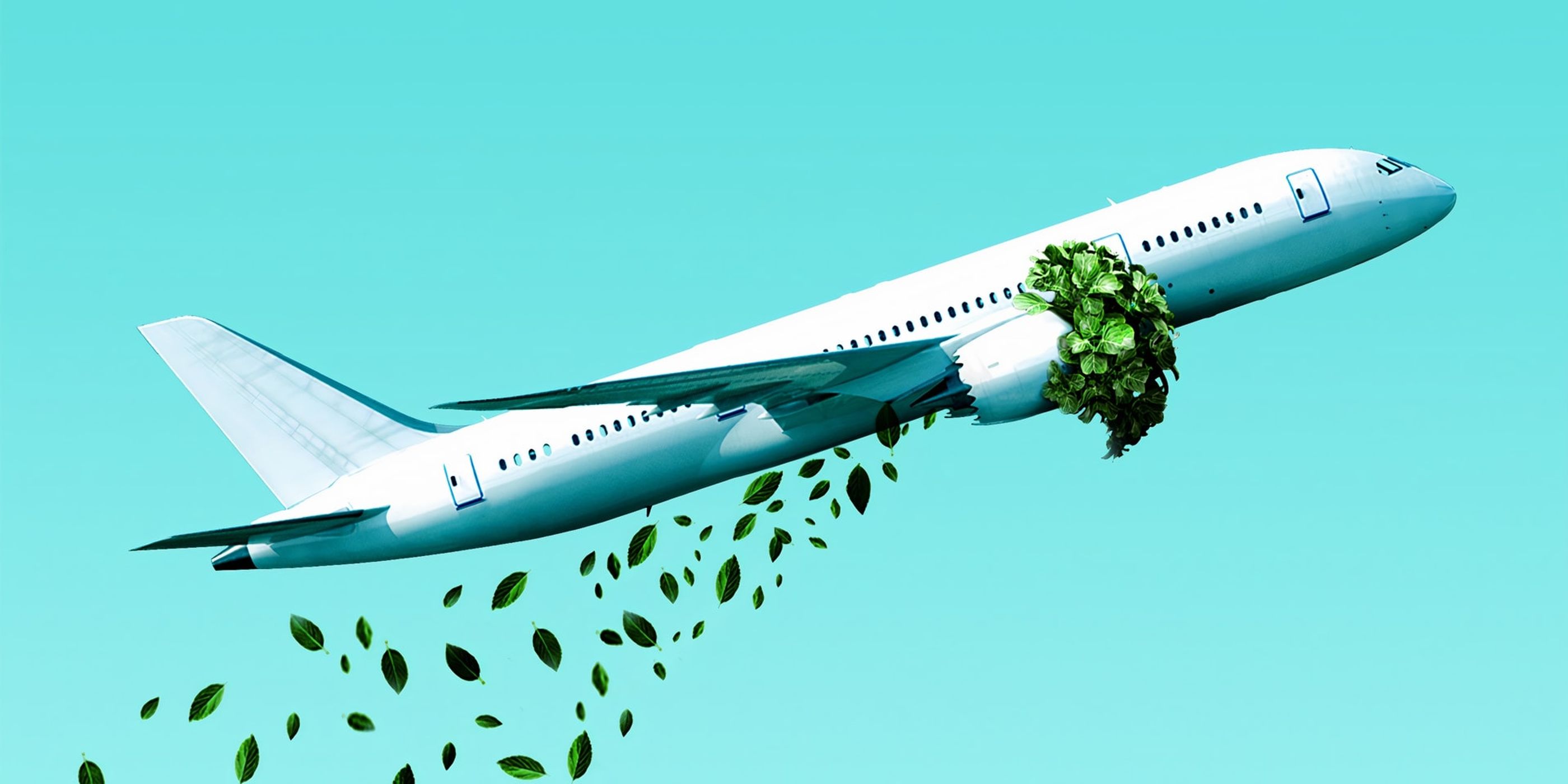 Carbon Offsetting - Salvation or Scam? (Best Carbon Offset Programs UK)