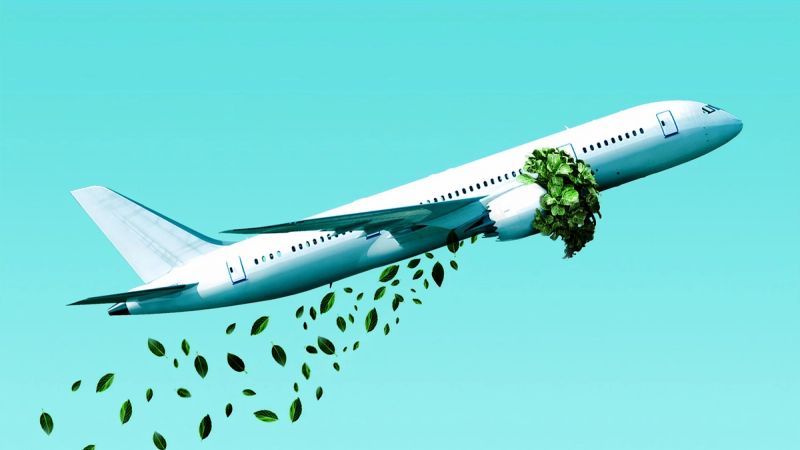 Carbon Offsetting - Salvation or Scam? (Best Carbon Offset Programs UK)