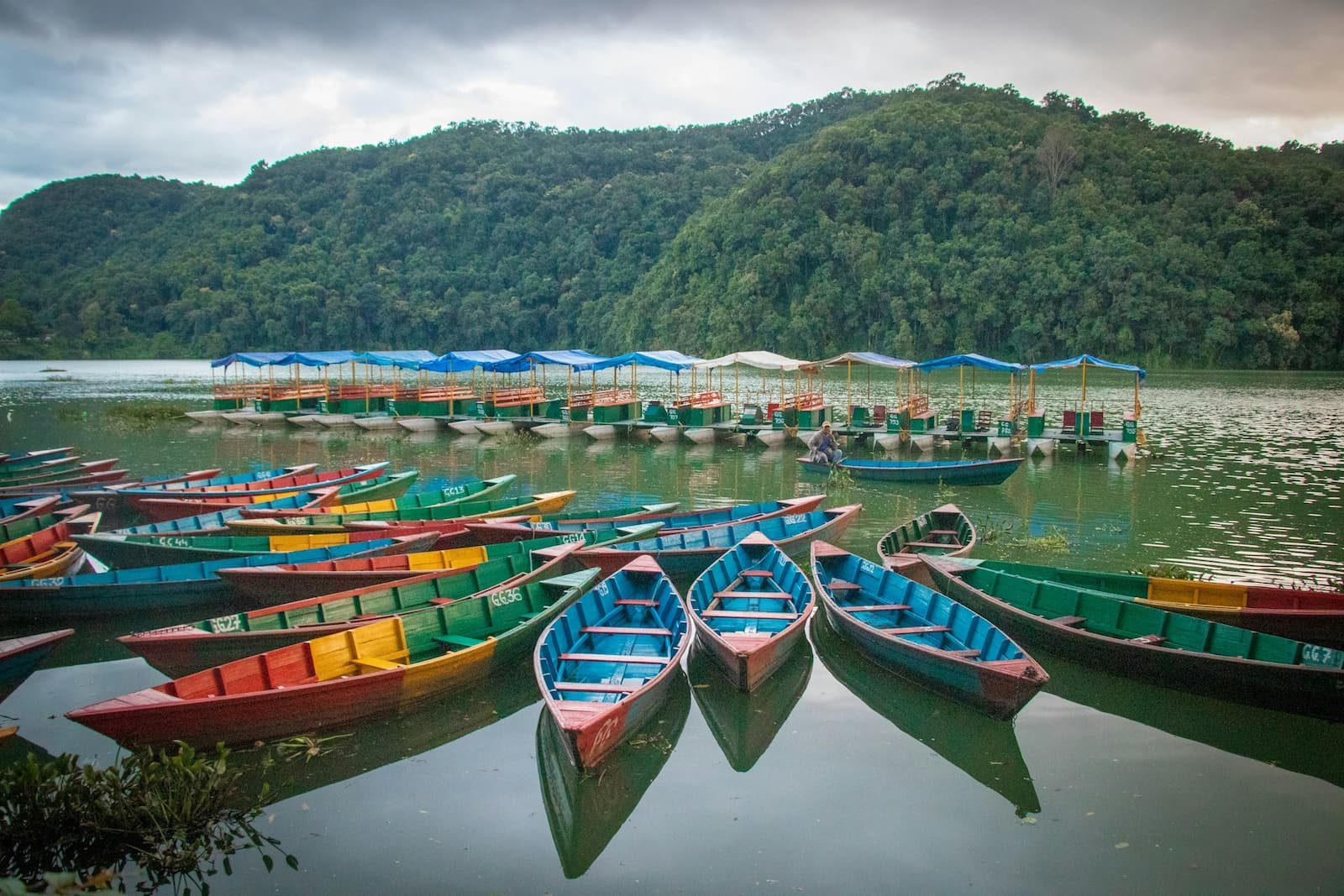 Pokhara lake with colourful boats