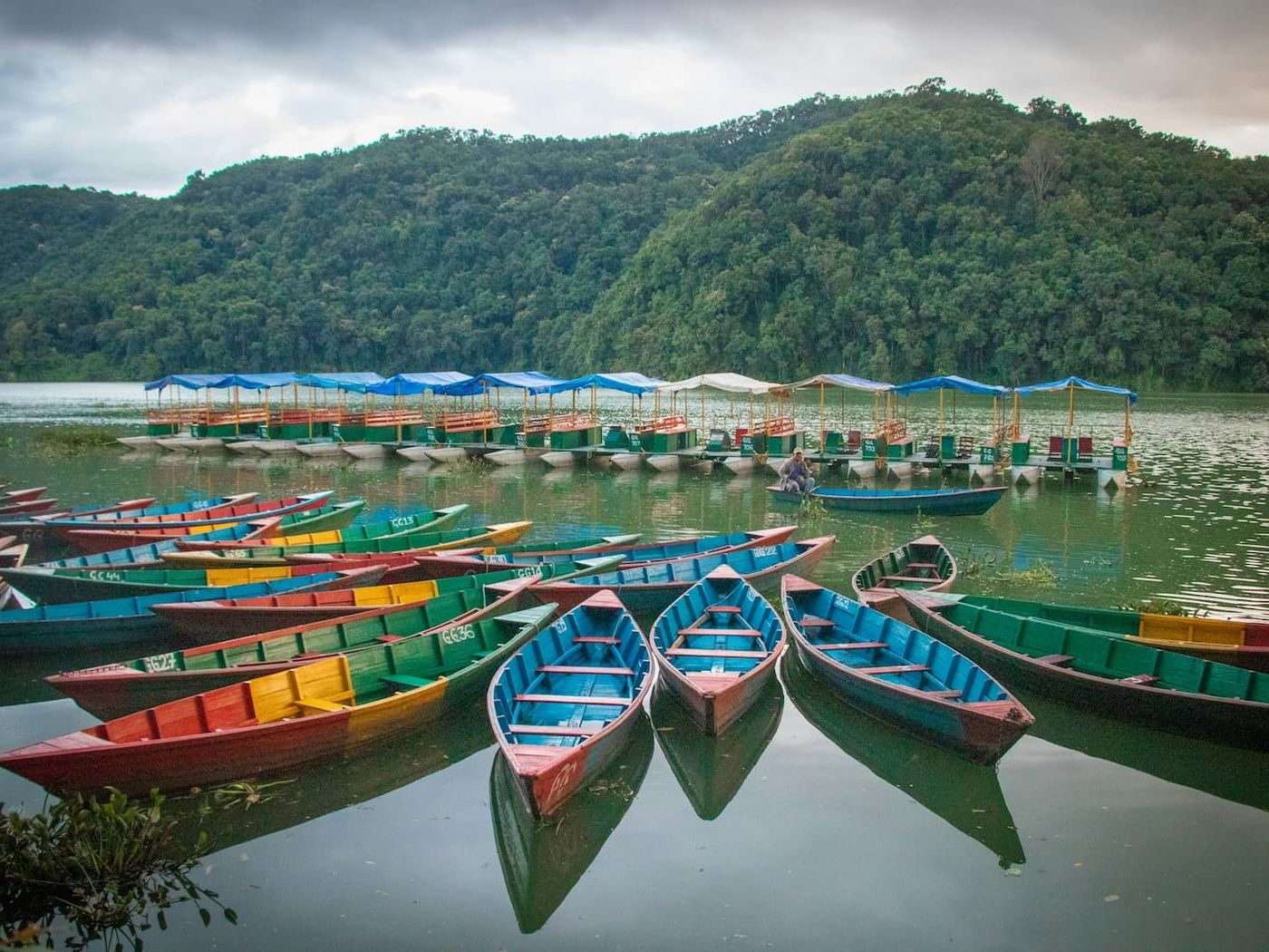 Pokhara lake with colourful boats
