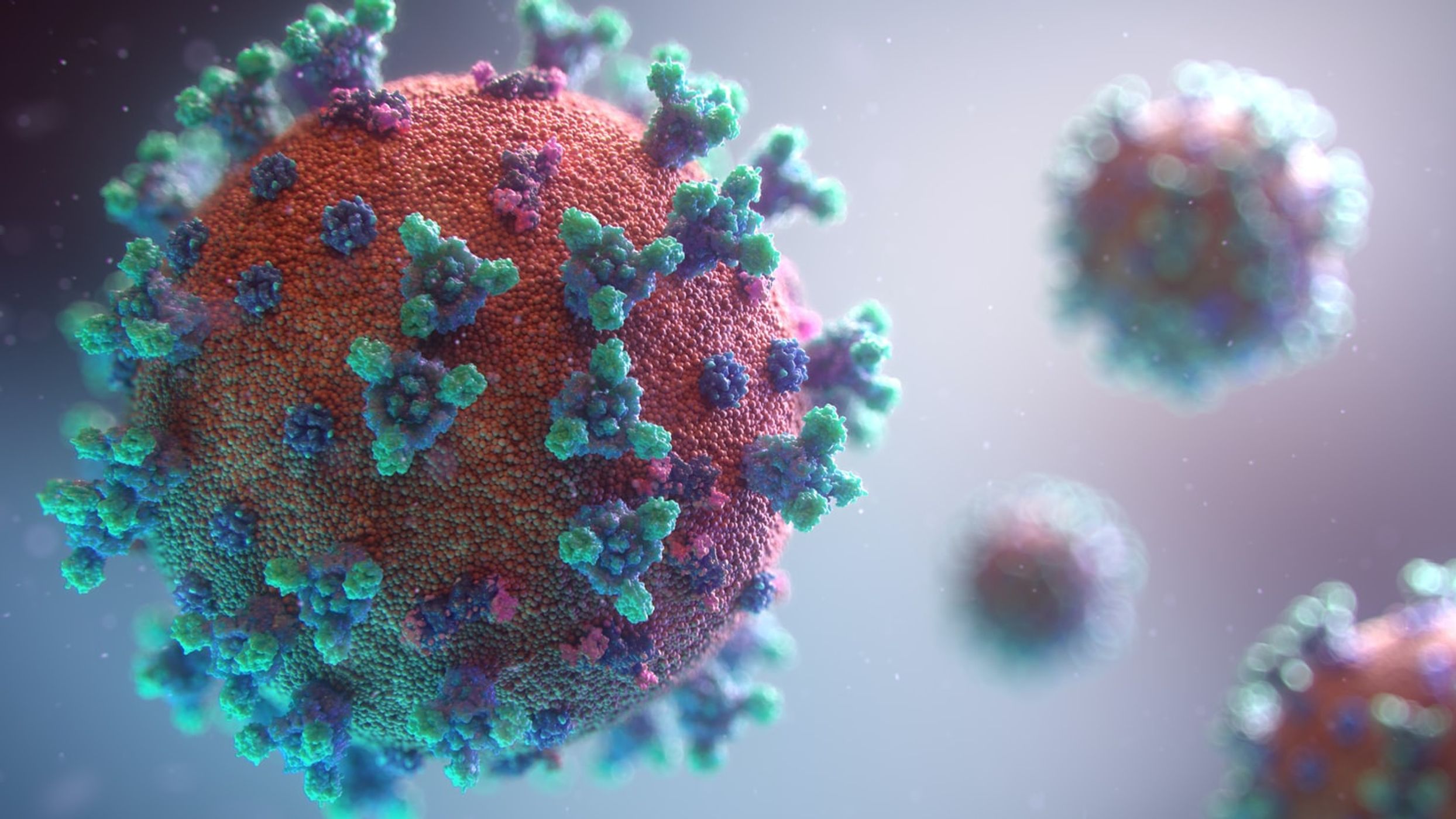 Coronavirus and its impact on the environment
