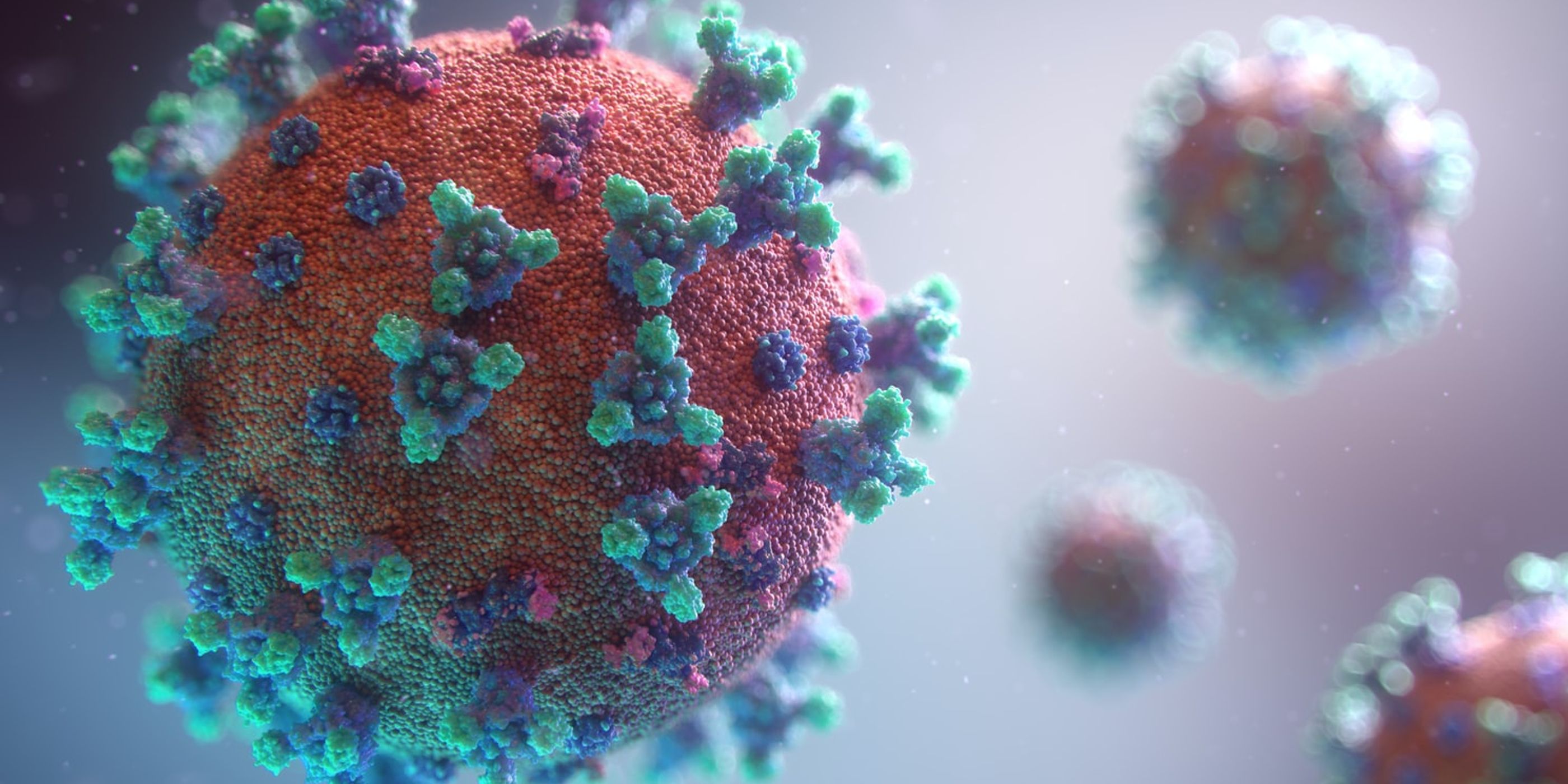 Coronavirus and its impact on the environment