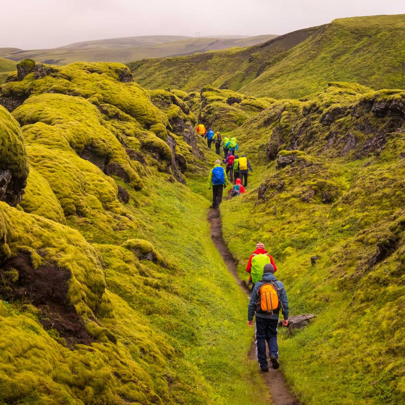 Lush green volcanic landscape along the trail